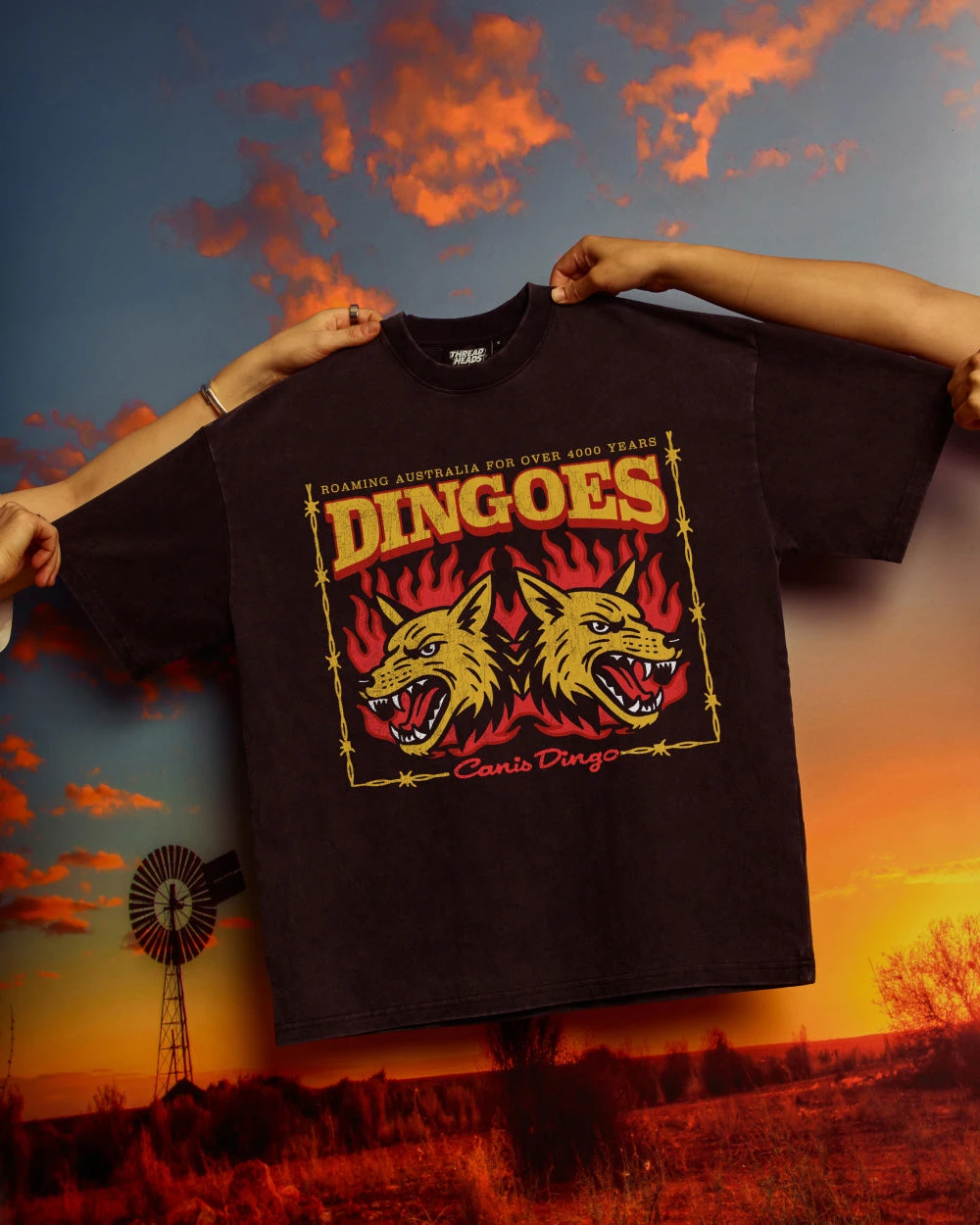 Territory Dingoes Wash Tee 4 Territory Dingoes Wash Tee - Image 2