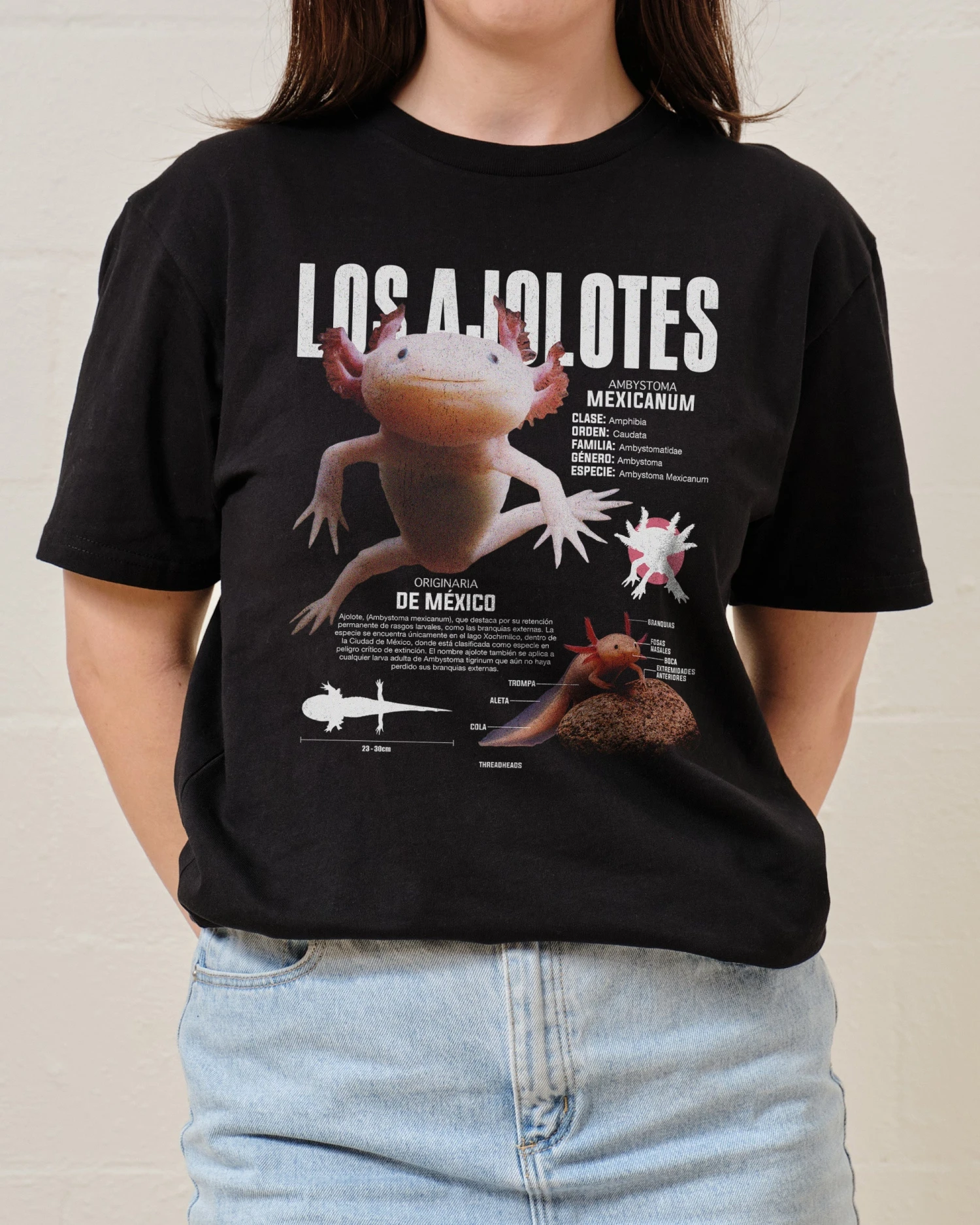 Los Ajolotes T-Shirt 5 Los Ajolotes T-Shirt - Image 3