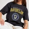 Harry Potter Ravenclaw College T-Shirt
