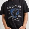 Harry Potter Ravenclaw Quidditch Team T-Shirt