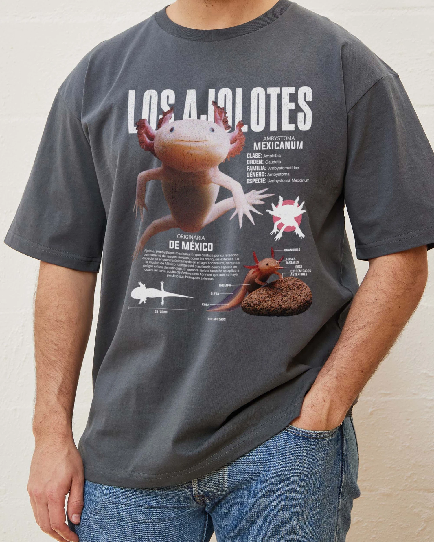 Los Ajolotes T-Shirt 9 Los Ajolotes T-Shirt - Image 7