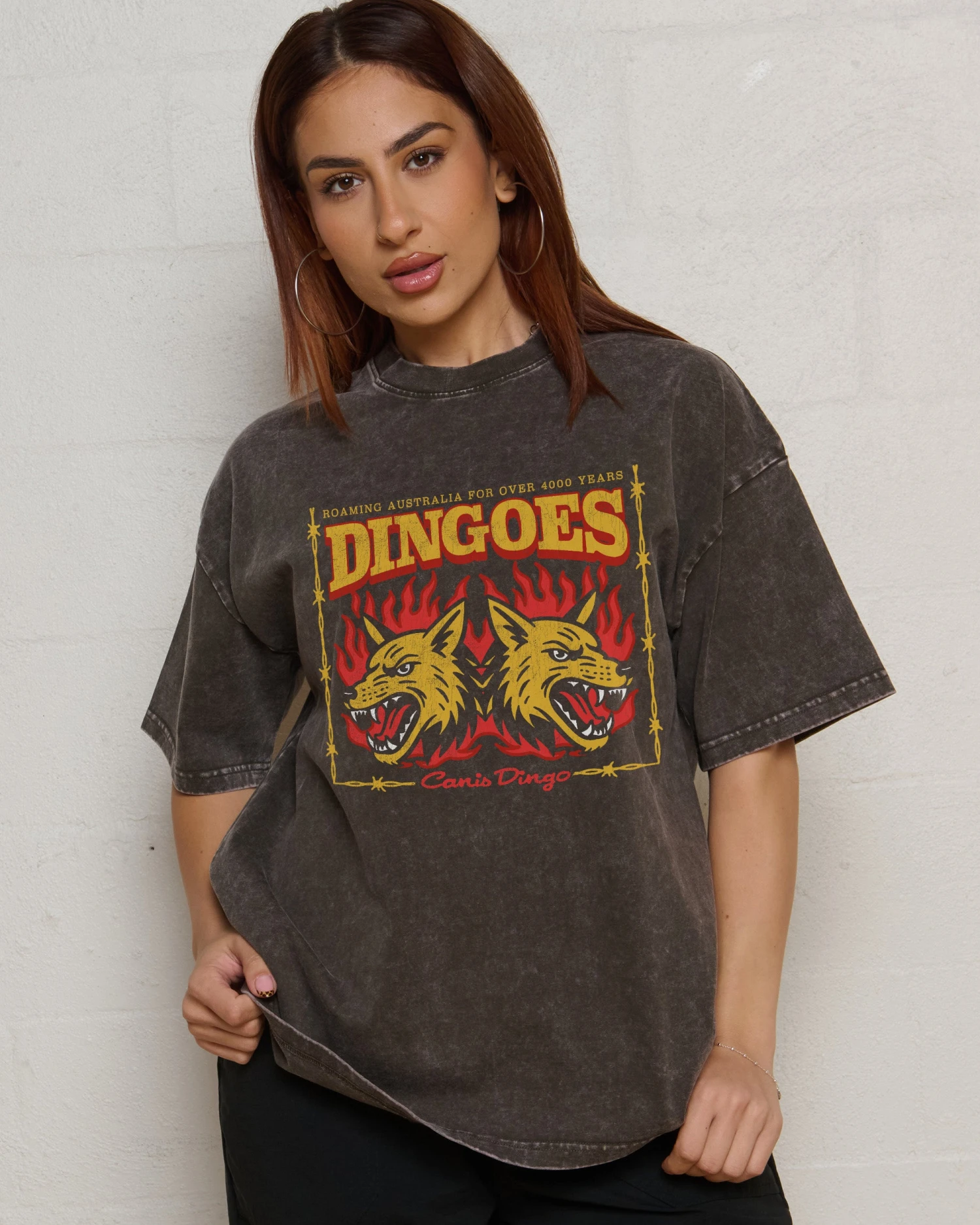 Territory Dingoes Wash Tee 5 Territory Dingoes Wash Tee - Image 3