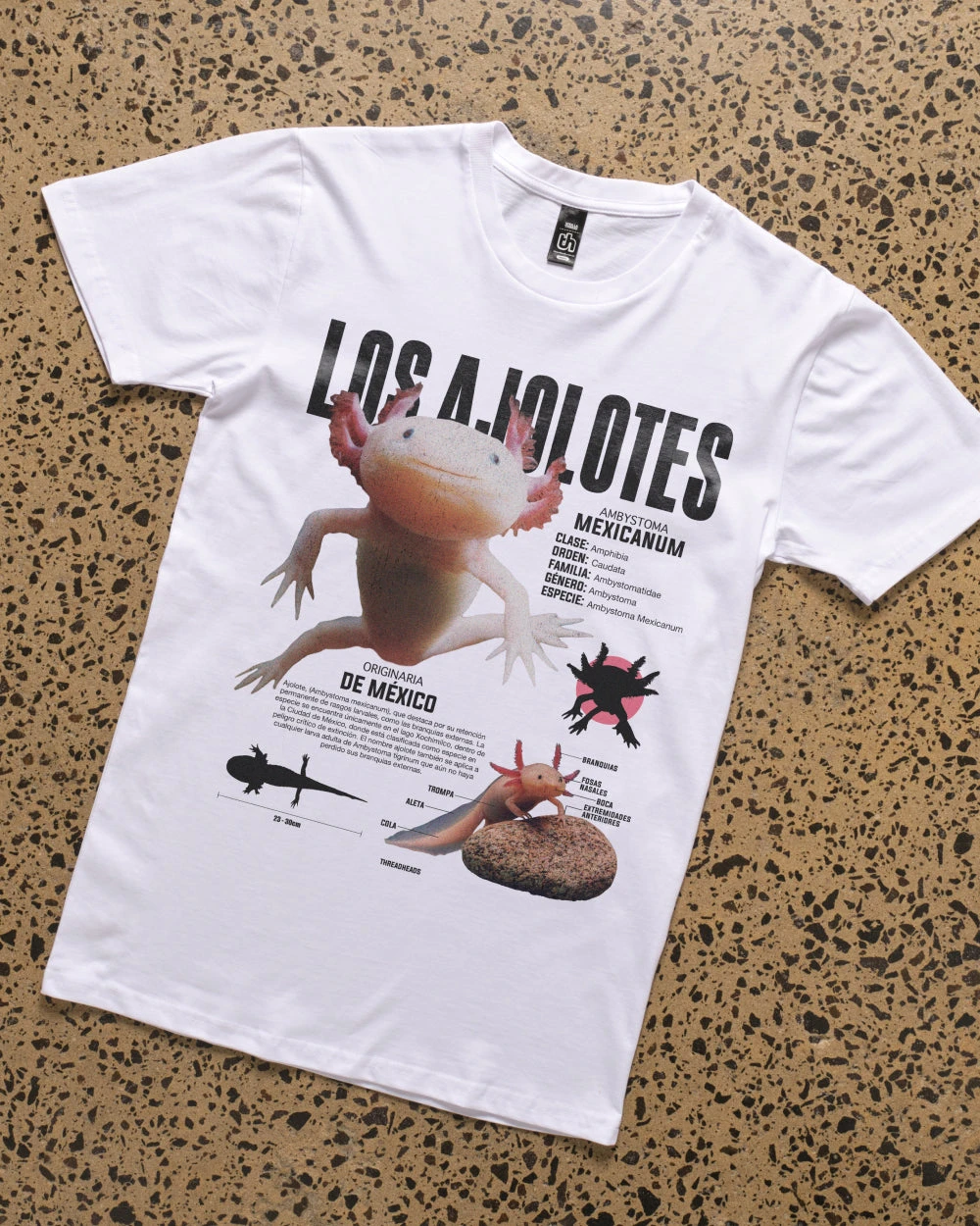 Los Ajolotes T-Shirt 4 Los Ajolotes T-Shirt - Image 2