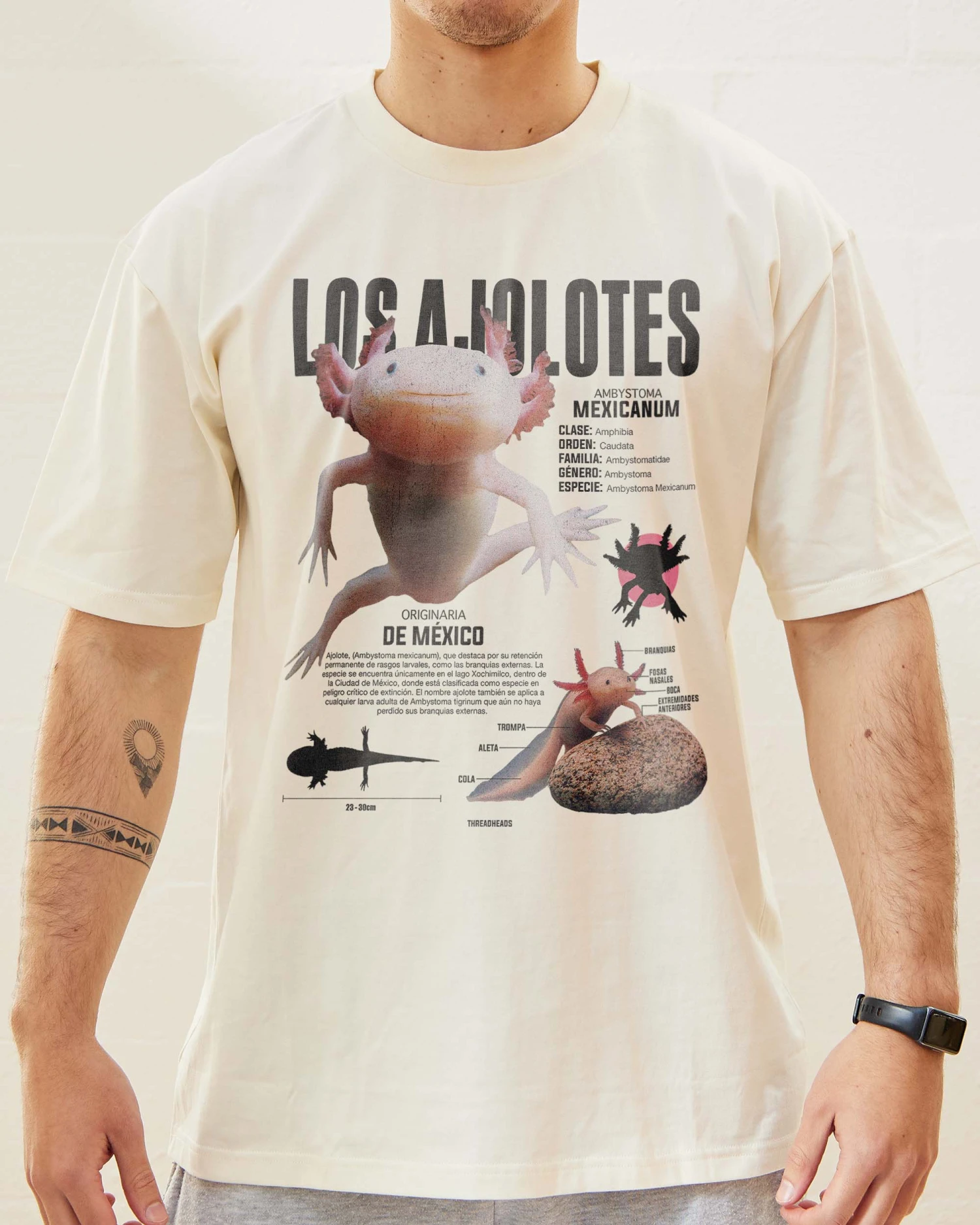 Los Ajolotes T-Shirt 7 Los Ajolotes T-Shirt - Image 5