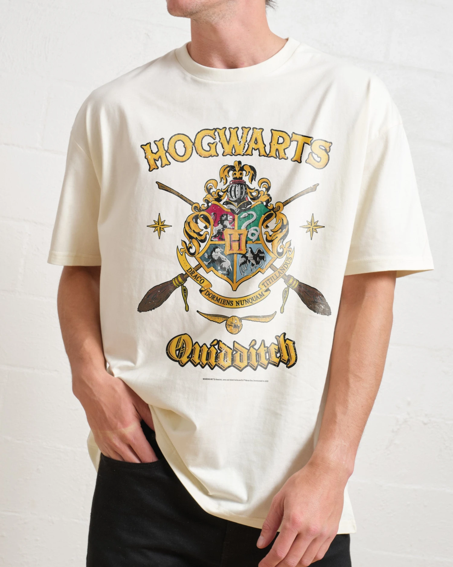 Harry Potter Hogwarts Quidditch Shield T-Shirt 3 Harry Potter Hogwarts Quidditch Shield T-Shirt