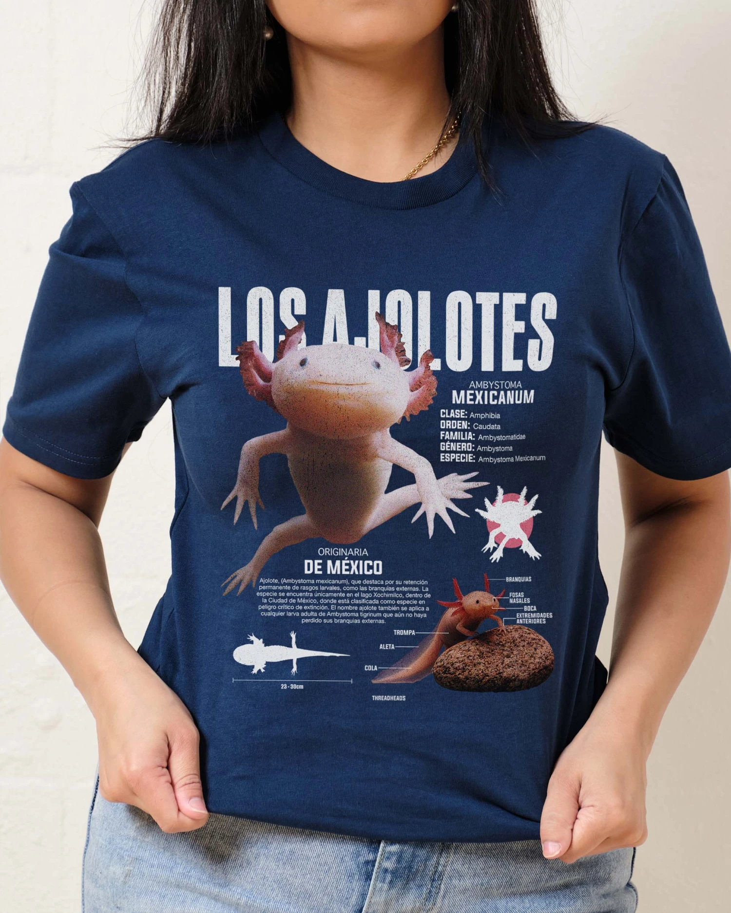 Los Ajolotes T-Shirt 8 Los Ajolotes T-Shirt - Image 6