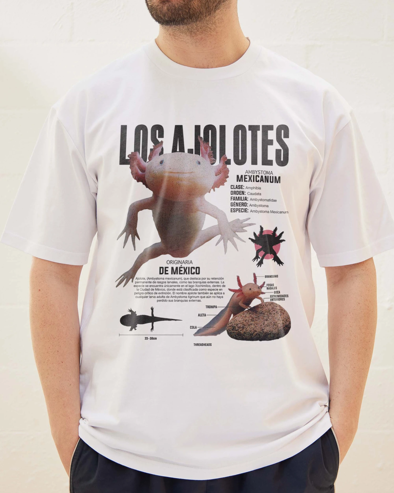 Los Ajolotes T-Shirt 6 Los Ajolotes T-Shirt - Image 4